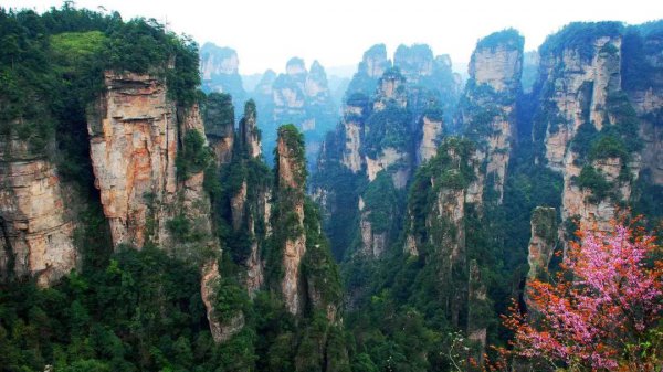 湖南旅游十大必去景区张家界