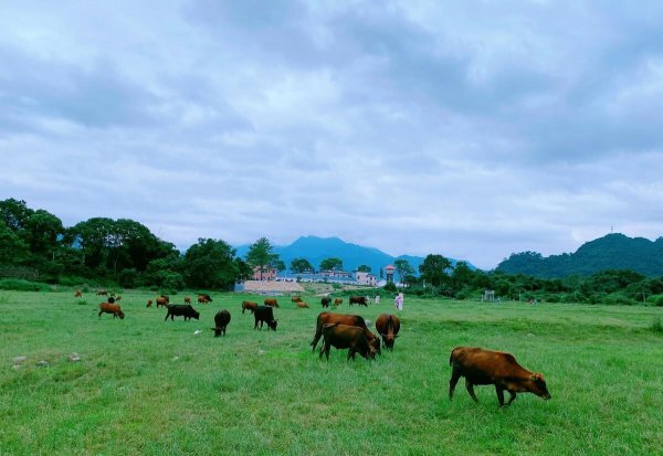 韶关景点十大旅游景点