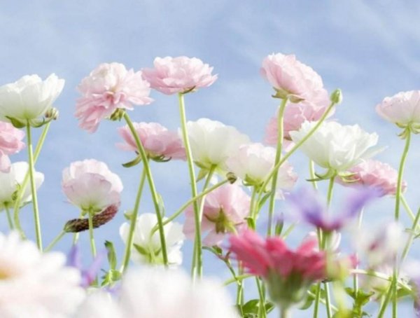 风筝中的钱副部长原型是谁