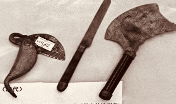 古代的太监是把哪里割掉了