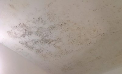 天花板发霉是什么原因引起的 家里潮湿发霉怎么办