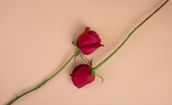 张爱玲六句话道尽爱情