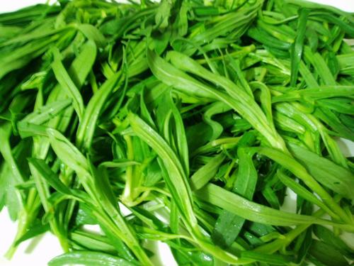 面条菜俗称什么菜