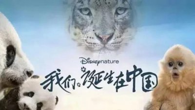 儿童必看十大励志电影 十部国产必看的儿童电影盘点