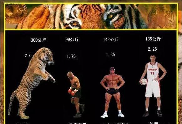 武松身高8尺是多高