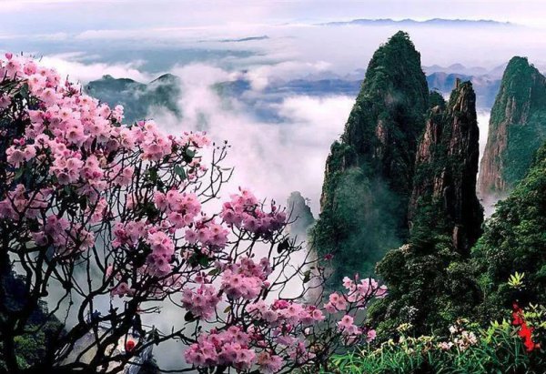 芙蓉国里尽朝晖全诗解析