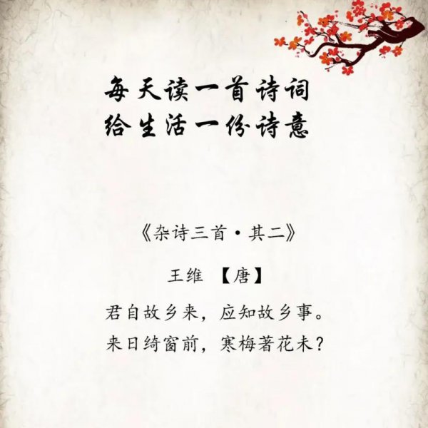 五个字的绝美诗句有哪些