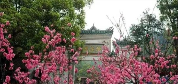 忠言逆耳利于行的上一句是什么