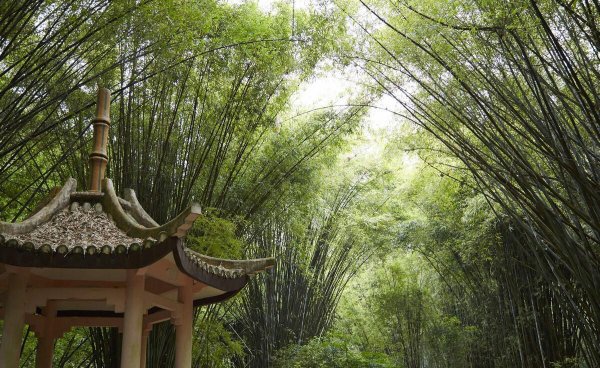 福州最值得去的地方有哪些