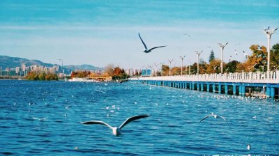云南省旅游景点有哪些 云南旅行必去的10个景区攻略