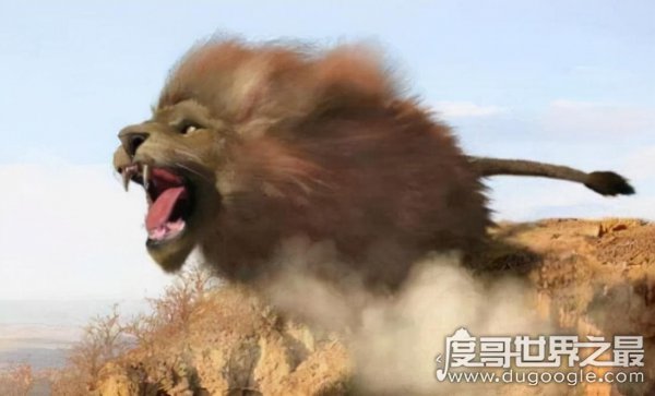 狮猁怪性格特点