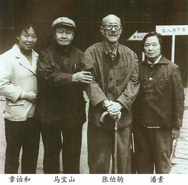 收藏大家张伯驹简介生平事迹