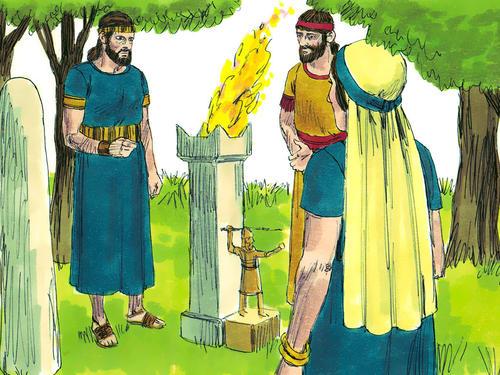 祭司是干什么的