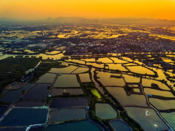 苏湖熟天下足苏湖指的是作物