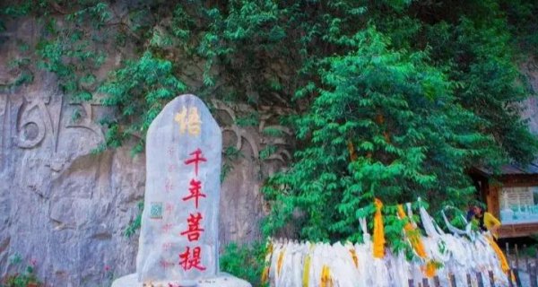 佛教闭关修炼是什么意思