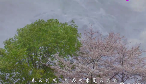 最近很火的小学生唱的歌曲