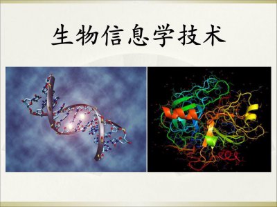 生物信息学就业前景 生物信息专业学习内容及推荐院校