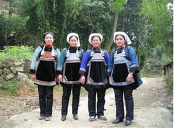 水族是什么民族