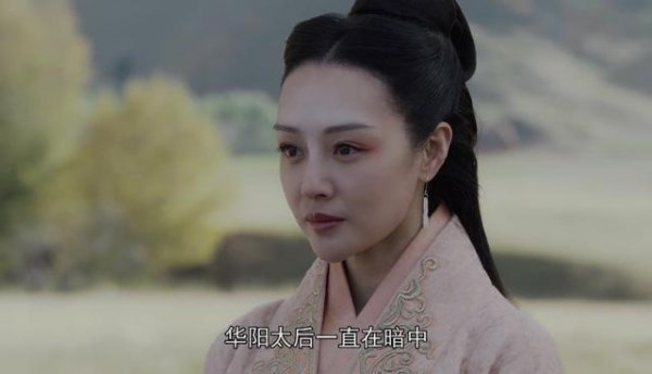 芈华历史人物简介及原型