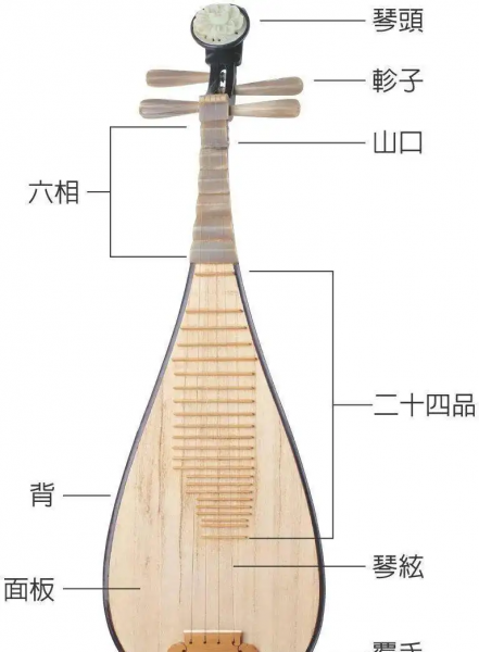 穿琵琶骨就是废人了吗