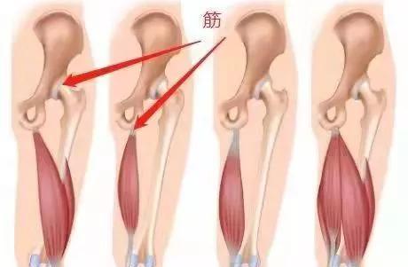 颜筋柳骨分别指的是什么和什么