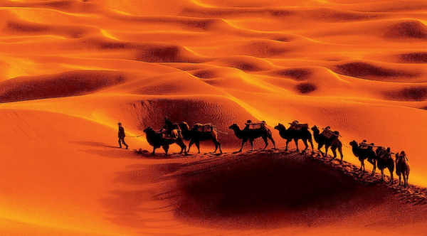 中国第一大沙漠介筛