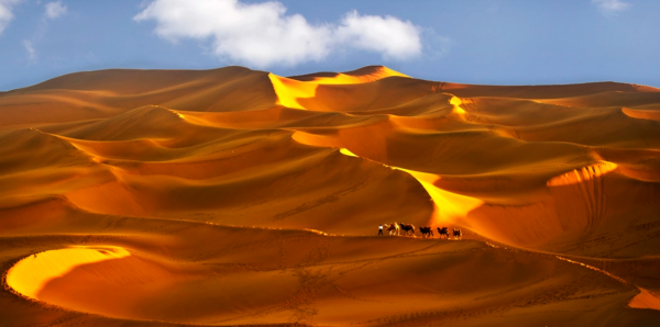 中国第一大沙漠介筛