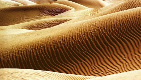 中国第一大沙漠介筛