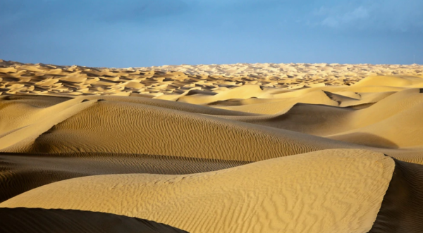 中国第一大沙漠介筛