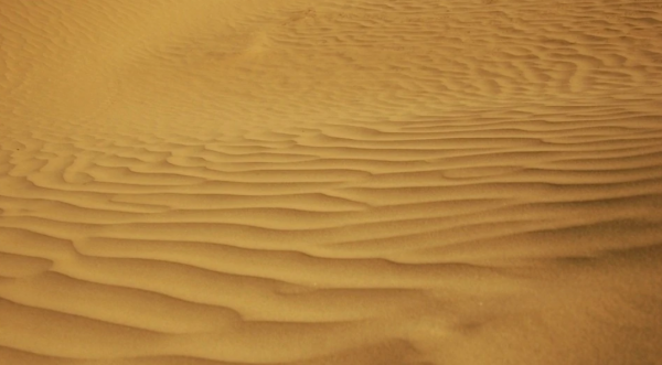 中国第一大沙漠介筛