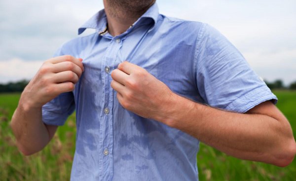 苍蝇为什么喜欢往人身上飞