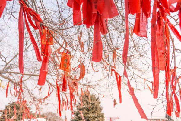 重阳节干什么风俗