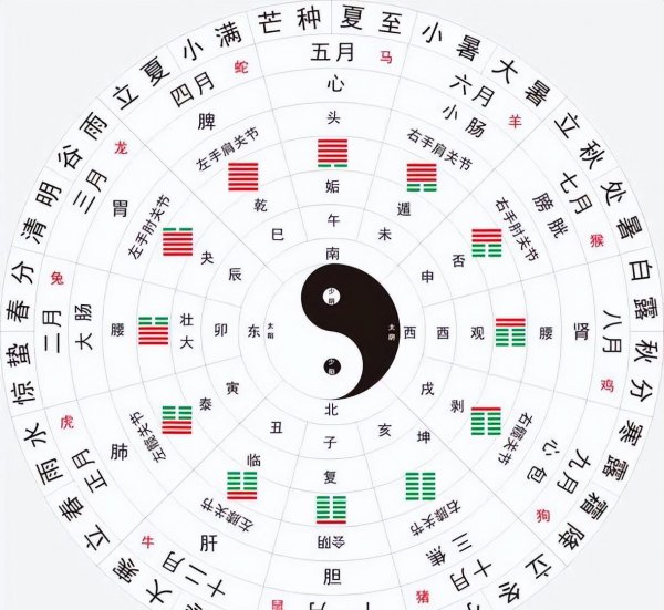 熊继柏并不厉害吗