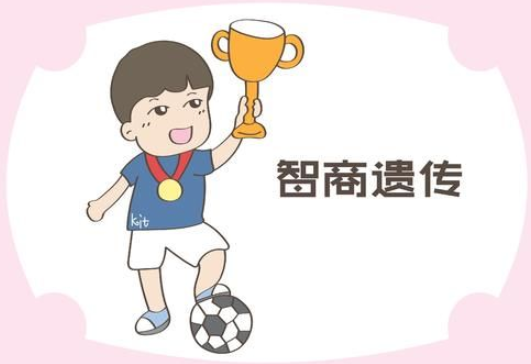 男孩智商100%遗传母亲是真的吗