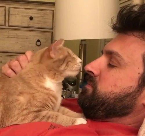 13个已被科学证明的养猫好处