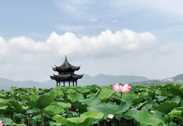 晓出净慈寺送林子方是什么季节描写的