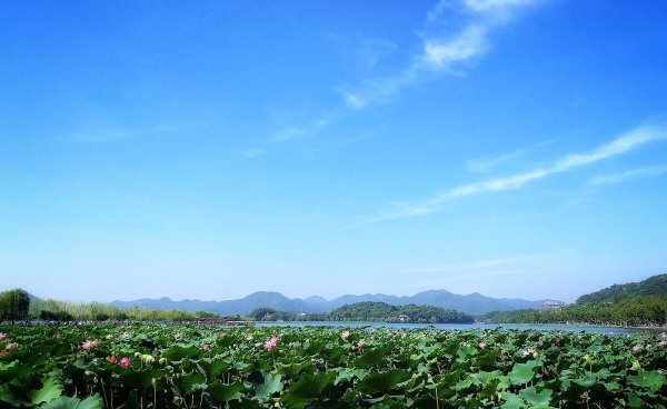 晓出净慈寺送林子方是什么季节描写的