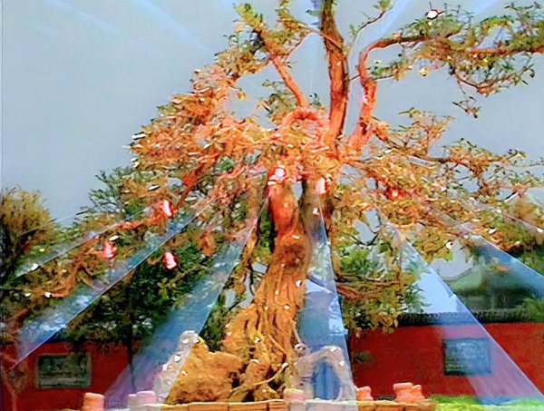 镇元大仙为什么是地仙之祖