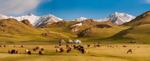 kyrgyz是哪个国家