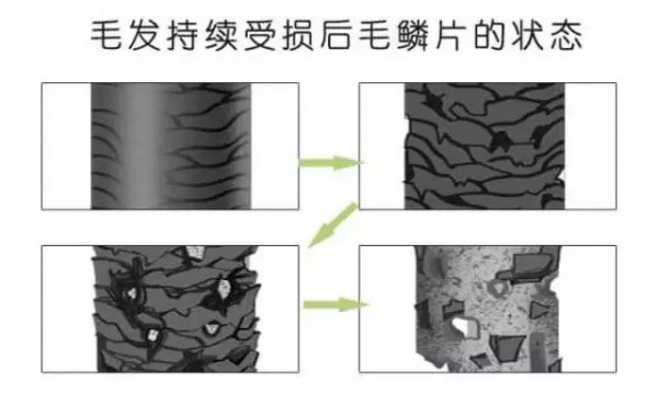 洗直和拉直的区别图片