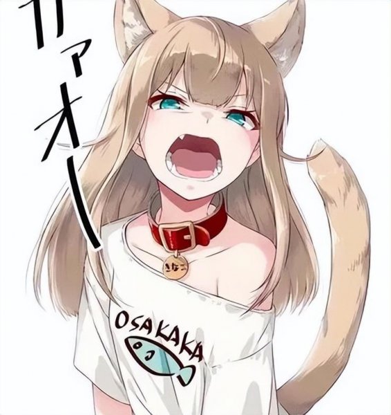 furry是什么意思
