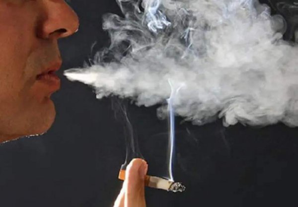 狗最怕什么气味不敢来拉尿