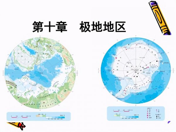 北极熊在南极还是北极生活