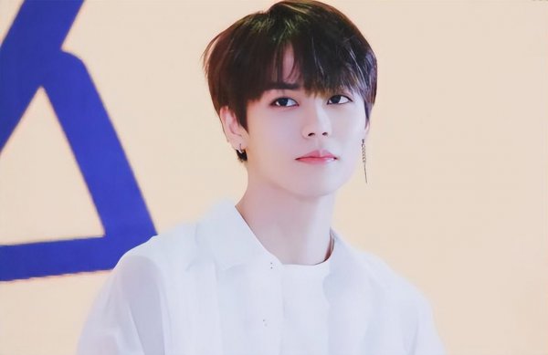 百分之九成员都有谁