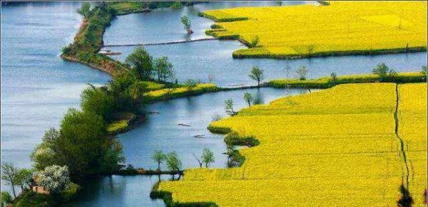 安徽芜湖旅游必去十大景点