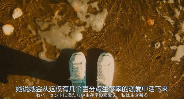 成年人该如何谈恋爱