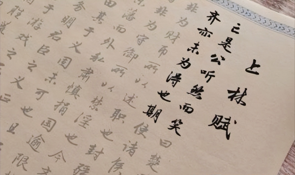 上林赋有多少个字
