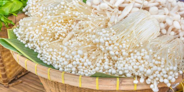 香菇怎么保存新鲜不烂