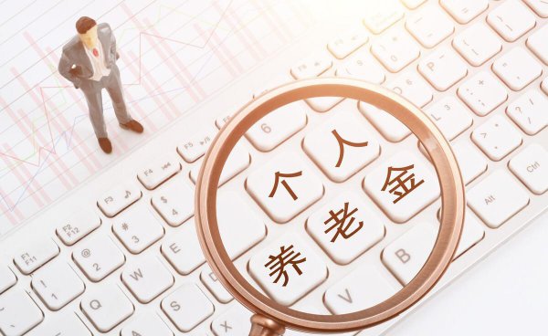 退休工资和养老金区别不是一种吗