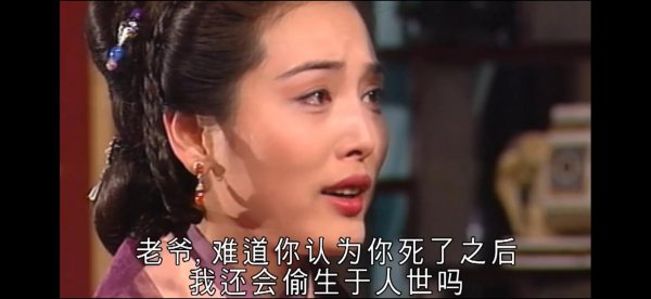 张延主演的全部电视剧大全